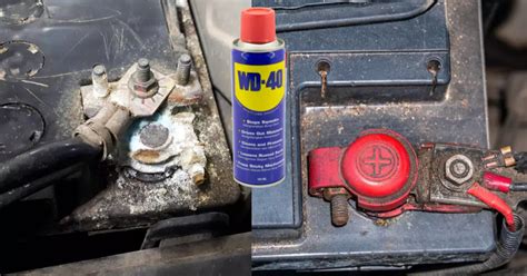 Can You Spray WD40 on Car Battery Terminals? And Why Does My Cat Stare at the Wall?