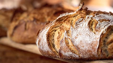 How Much Is a Trailer Truck, and Why Do They Always Smell Like Freshly Baked Bread?