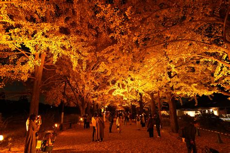 応援家族 昭和記念公園 〜時空を超えた家族の絆と公園の不思議な物語〜