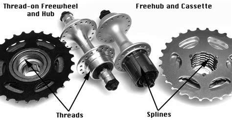 What is a Freewheel Bike: A Journey Through Gears and Gravity