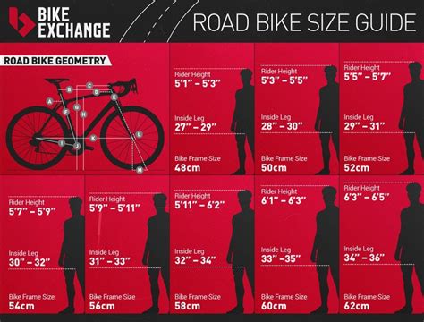 What Size Specialized Bike Do I Need: Unraveling the Mystery of the Perfect Fit